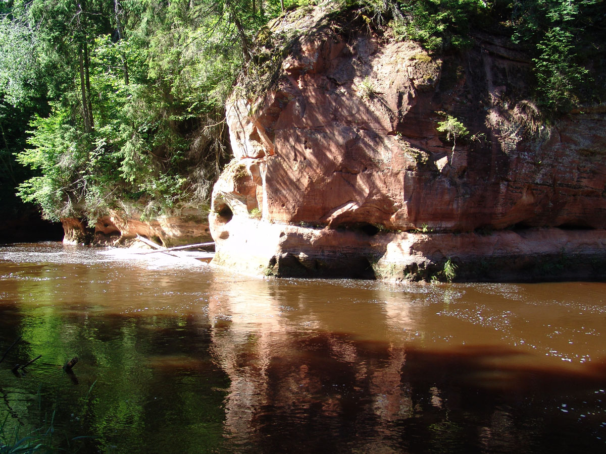 GNP 210+.jpg